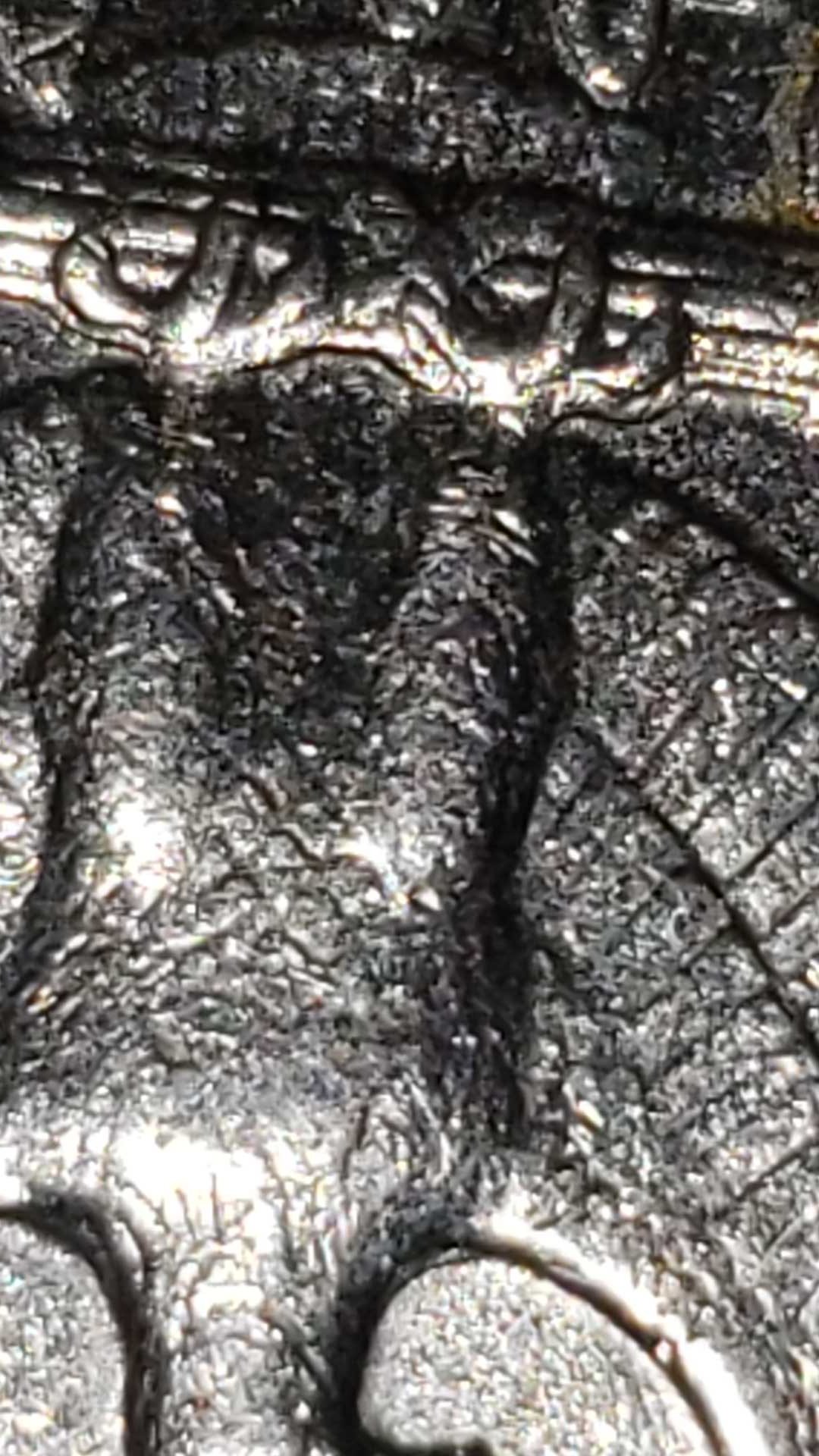 1977-D-Quarter--Double-Die-On-Obverse-Eagles-Feet
